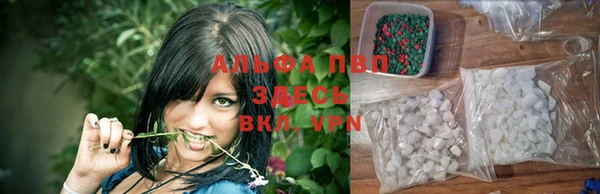 apvp Вязники