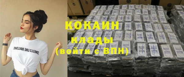 индика Нязепетровск