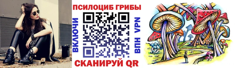 Галлюциногенные грибы GOLDEN TEACHER  продажа наркотиков  Демидов 